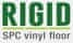 RIGID
