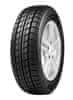 205/65R16C 107T DELINTE WD2