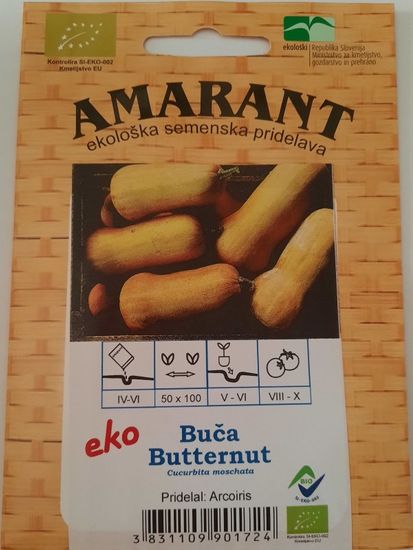 Amarant Buča Butternut, maslena, ekološko seme