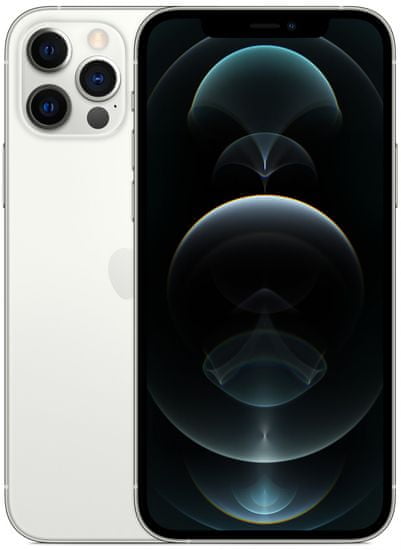 Apple iPhone 12 Pro pametni telefon, 256GB, Silver