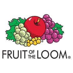 Greatstore Fruit of the Loom Originalne majice 5 kosov bordo XXL bombaž