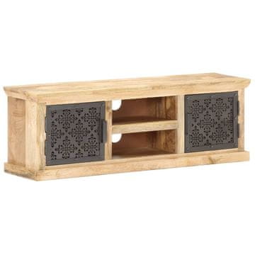 Vidaxl TV omarica z jeklenimi vrati 120x30x40 cm trden mangov les