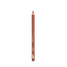 Loreal Paris Color Riche svinčnik za ustnice 107 C'Est Diman