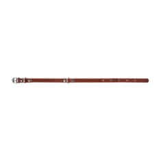 WAUDOG Ravna, klasična, kakovostna pasja ovratnica iz rjavega usnja dolžina: 22-30 cm, širina: 10 mm rjav