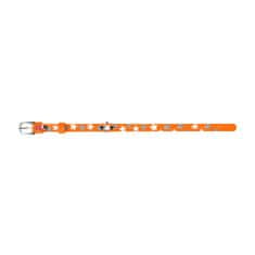 WAUDOG usnjena odsevna in svetleča fosforescentno oranžna ovratnica z zvezdicami 19-25 cm, širina: 9 mm Oranžna