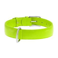 WAUDOG ravna zelena usnjena ovratnica za pse 18-21 cm, širina: 9 mm zelena