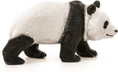 Schleich panda, veliki samec 14772