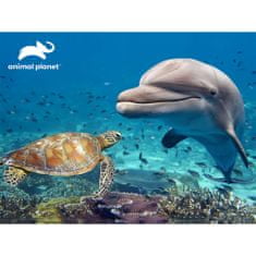 Prime 3D sestavljanka 3D - delfini, 500 kosov, 61x46 cm