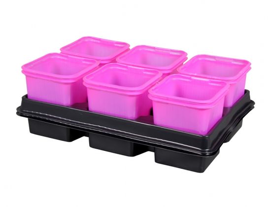 NOHEL GARDEN Cvetlični lonec PINK + krožnik 8x8x8cm 2x6ks