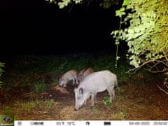 KeepGuard KG795W + 32GB SD kartica in 8 baterij BREZPLAČNO!