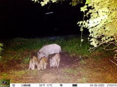 KeepGuard KG795W + 32GB SD kartica in 8 baterij BREZPLAČNO!