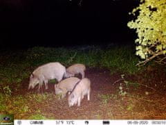 KeepGuard KG795W + 32GB SD kartica in 8 baterij BREZPLAČNO!