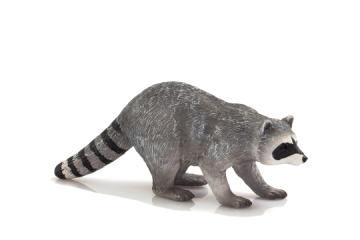 MOJO Raccoon