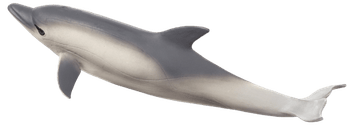 MOJO Dolphin