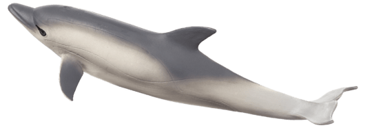 MOJO Dolphin