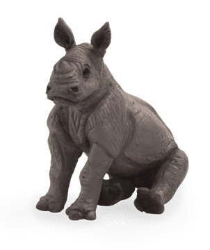 MOJO Rhino baby sitting