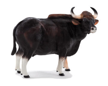 Animal Planet Mojo Gaur bik