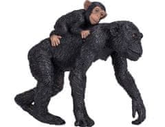 Šimpanz Mojo in mladič