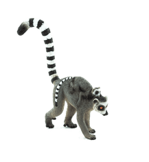 MOJO Lemur kata z mladičem