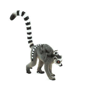 MOJO Lemur kata z mladičem