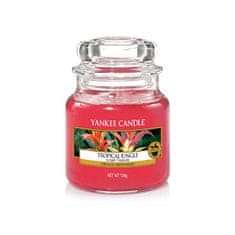 Yankee Candle Aromatična sveča Classic majhna tropska džungla 104 g
