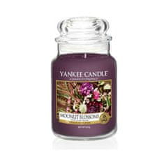 Yankee Candle Aromatična sveča velika Moonlit Blossoms 623 g