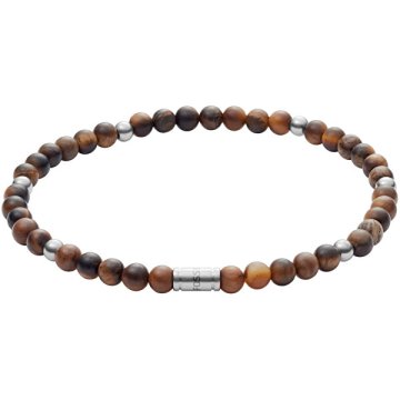 Fossil Tigrasta zapestnica JF02939040