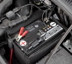 Compass  Adapter avtomobilski akumulator - vtičnico 12/24V