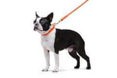 WAUDOG okrogla usnjena oranžna ovratnica za dolgodlake pse 17-20 cm, širina ovratnika: 6 mm Oranžna