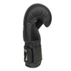 DBX BUSHIDO boksarske rokavice DBX BUSHIDO B-2v12 6 oz.