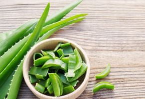 Vitapur Family AloeVera ClimaFill