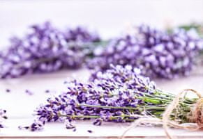 Vitapur Family Lavender Provence Summer