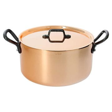de Buyer STEWPAN INOCUIVRE Z LISTOM Z LESENIM ŽELJO 20 CM, STEWPAN INOCUIVRE Z LISTOM Z LESENIM ŽELJO 20 CM