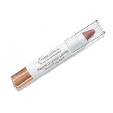 Embryolisse Obarvan balzam za ustnice z vlažilnim učinkom Artist Secret Pink (Comfort Lip Balm) 2,5 g