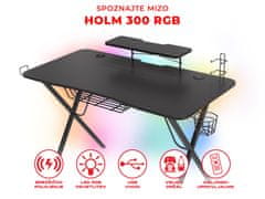 Holm 300 RGB gaming miza