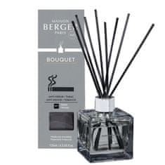 Maison Berger Paris Cube difuzor Woody (Anti-odour Tobacco) 125 ml