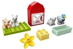 LEGO DUPLO® Town 10949 Živali na kmetiji