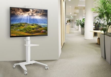 Reflecta 70VCP