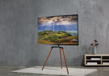 Reflecta 65W