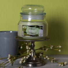Colonial Candle Green Tea Macaron dišeča svečka, 255 g