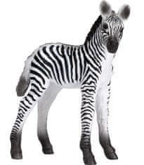 MOJO Zebra mladič