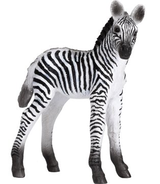 MOJO Zebra mladič