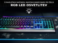 Genesis Rhod 300 RGB gaming tipkovnica, membranska, Anti-Ghosting, US