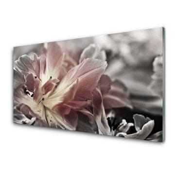 tulup.si Stenska plošča za kuhinjo Abstrakcija graphics