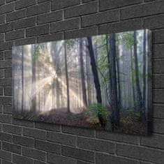 tulup.si Slika na platnu Narava gozdnega drevja 100x50 cm