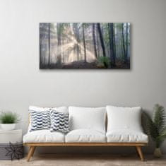 tulup.si Slika na platnu Narava gozdnega drevja 100x50 cm