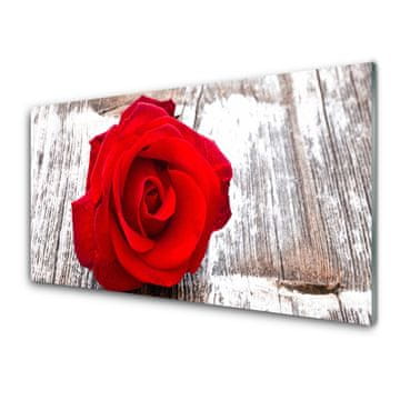 tulup.si Slika na akrilnem steklu Rose flower rastlin narava 4 obešalnika