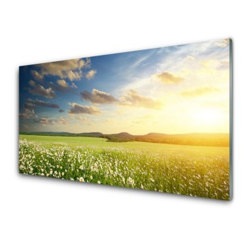 tulup.si Slika na akrilnem steklu Cvetje travnik landscape 2 obešalnika