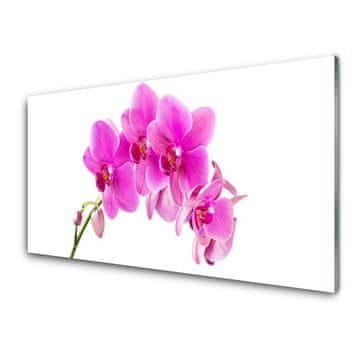 tulup.si Slika na steklu Orchid cvet orhideje 4 obešalnika