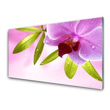 tulup.si Slika na akrilnem steklu Flower listih rastlin 4 obešalnika
